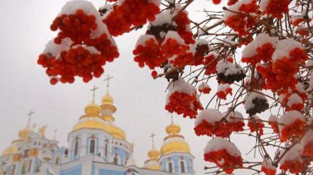 Какой церковный праздник сегодня, 12 декабря 2024 года, отмечают православные христиане