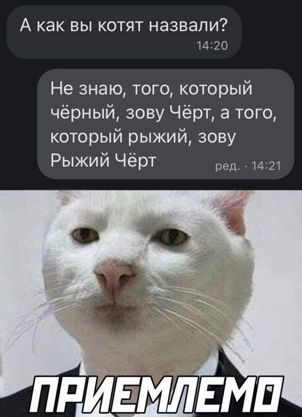 Смешные картинки 2 июля 2021