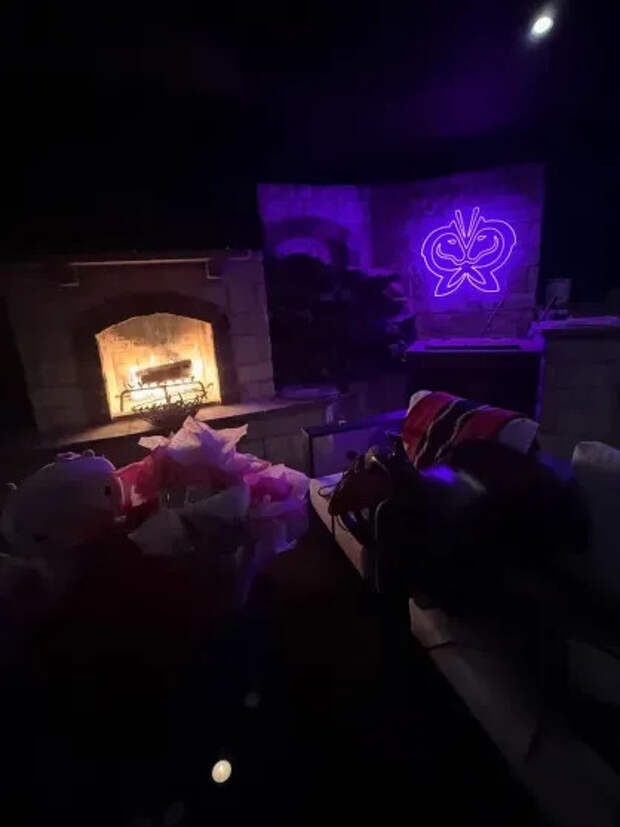 День рождения Беллы Хадид