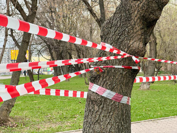 В Красноармейском районе Кубани упали обломки БПЛА, жителей выводят из опасной зоны