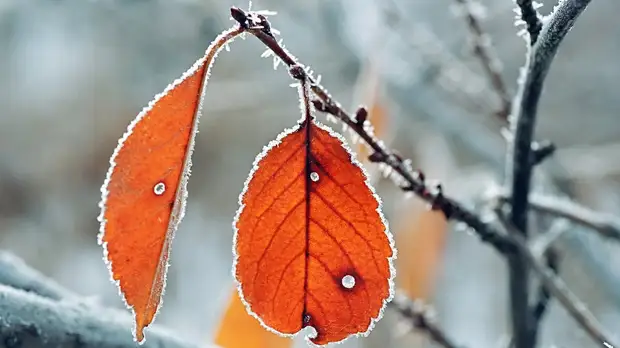 Спасатели предупредили о заморозках до -6 ˚С в Башкирии