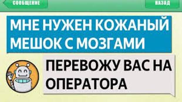 Смешные и необычные вывески