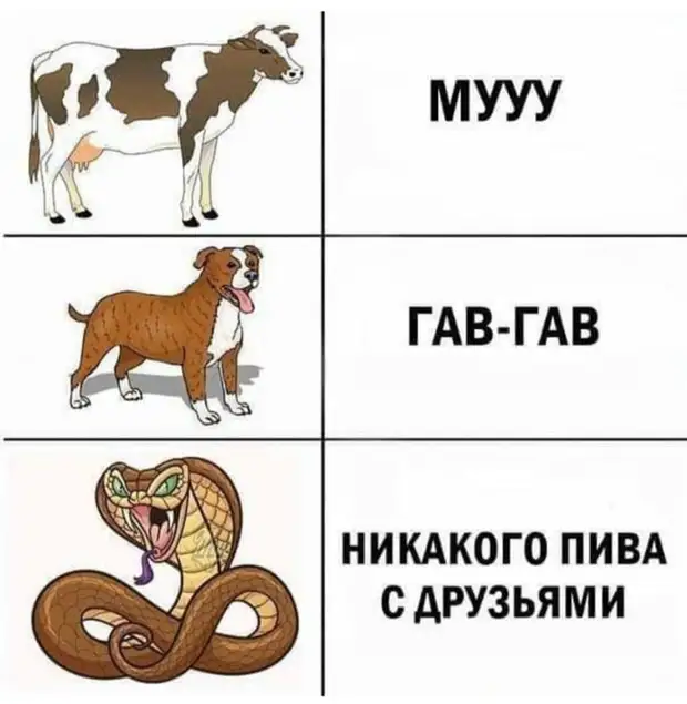 – Ну и как первая брачная ночь? – Не помню! Я сознание потерял уже после того, как она ресницы отклеила – Ну и как первая брачная ночь? – Не помню! Я сознание потерял уже после того, как она ресницы отклеила только, быстро, карты, забыл , пролетает, проигрывает, жизнь, время, ездить, россиянином, Мерседесе, владеть, некоторым, недвижимостью, вамиХотелось, такие, точно, дебилы, оправдания, повод