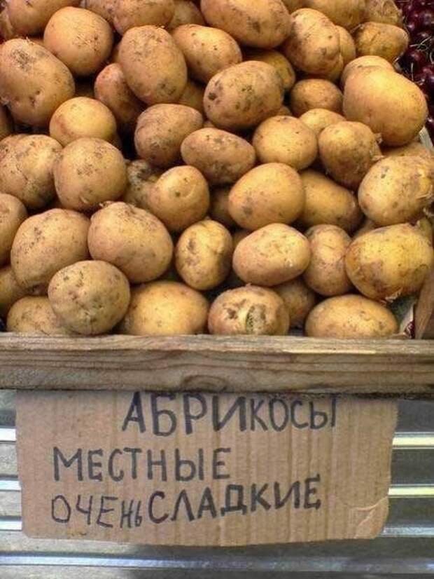 Смешная картошка фото