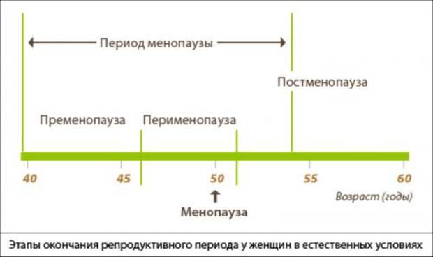 Питание для женщин при менопаузе. Основные правила питания при климаксе