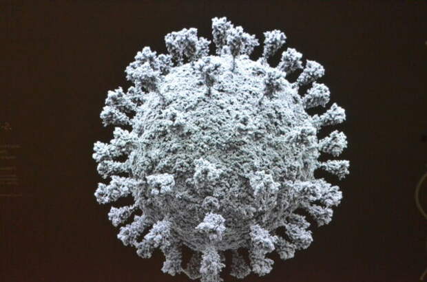 3D-моель коронавируса - фото Tochka Zрения