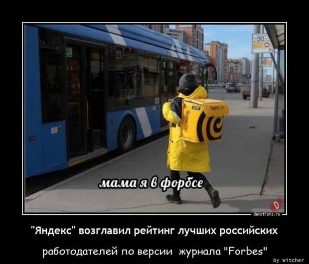 Пятничные демотиваторы: праздники, социум и живность