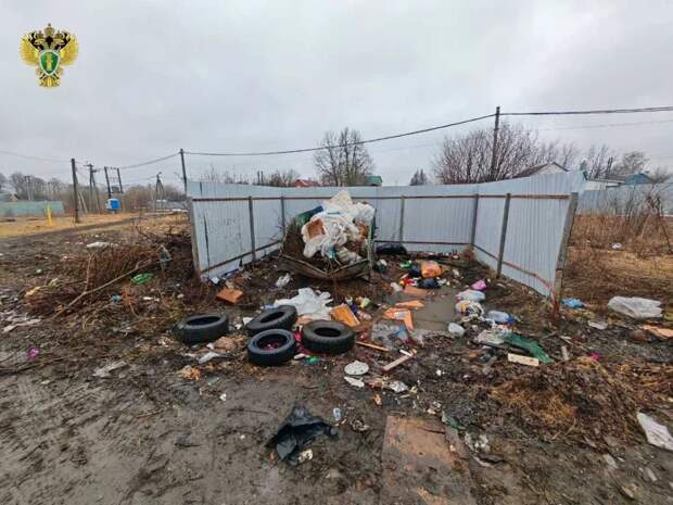Прокуратура Тульской области выявила стихийную свалку