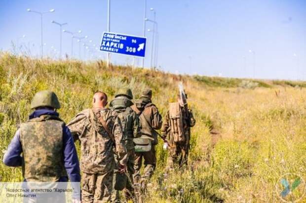 Выборы в Донбассе: прожиточный минимум и закон об общественных организациях - чем будет заниматься новый парламент ДНР