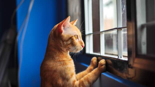 Дорога по солнечному лучу