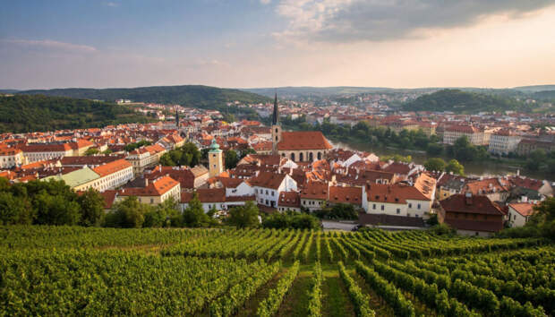 Европа должна начать диалог с Путиным заявил премьер Чехии