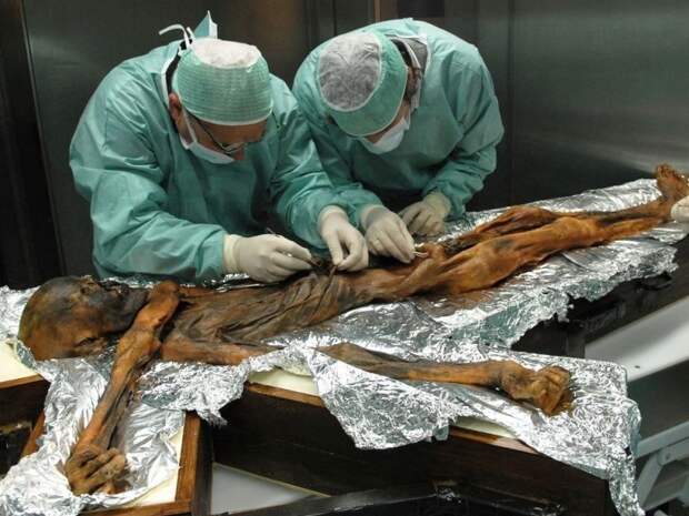 Последний ужин «ледяного человека»: ученые выяснили, чем питался Эци древний человек, еда, ледяной человек, мумия, новости, питание, ученые, факты