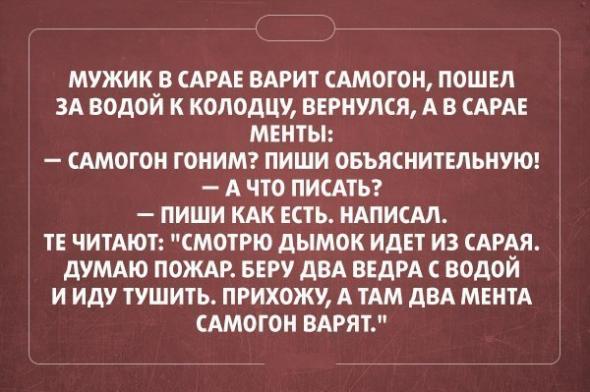 Картинки, юмор, приколы