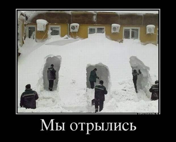 Демотиваторы-приколы (17 шт)