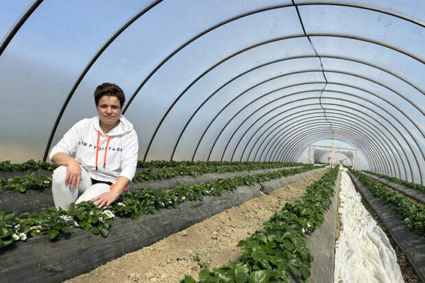 Место на полке: как большие ретейлеры работают с маленькими поставщиками