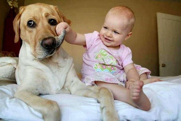 http://img0.liveinternet.ru/images/attach/b/4/104/8/104008276_large_93594065_large_a91a3dd1f7d071819e80a2ded24.jpg