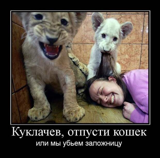 Пятничные демотиваторы свежие и веселые (11 фото) Пятничные демотиваторы свежие и веселые (11 фото)