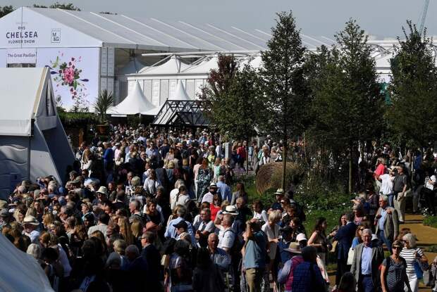 Цветочная выставка садов и цветов Chelsea Flower Show 2021