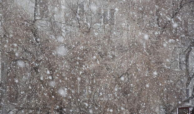 Долгожданное: синоптики рассказали, когда в Приморье потеплеет