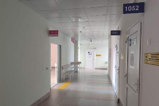 Роспотребнадзор предупредил о рисках завоза в Россию вируса Нипах