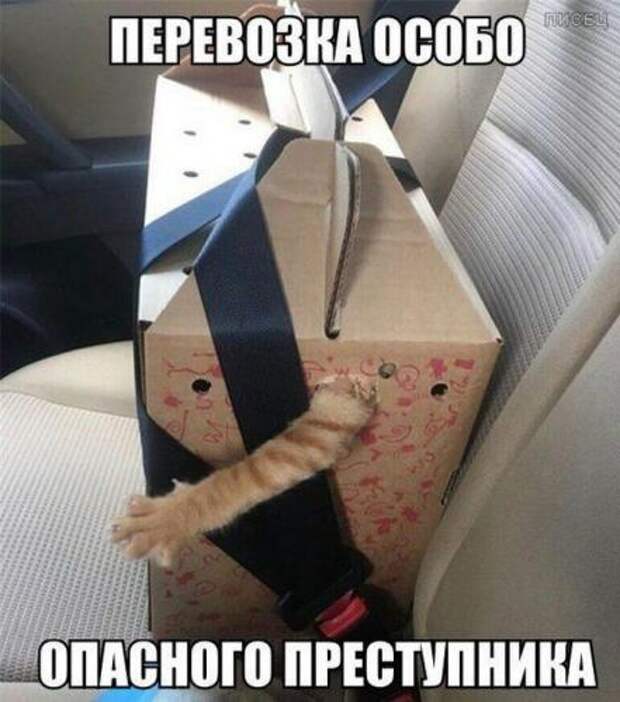 Убойные заряды юмора на все ближайшие дни. Смотрим! Убойные заряды юмора на все ближайшие дни. Смотрим!