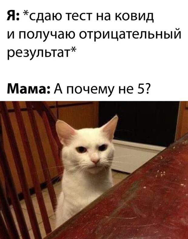 Смешные картинки 26 октября 2021 года