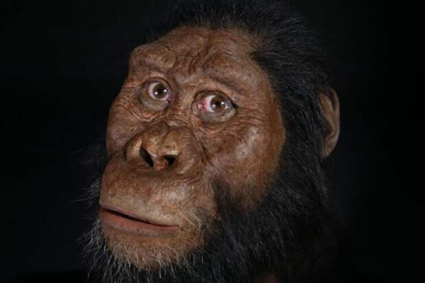 Как выглядел самый древний предок человека?