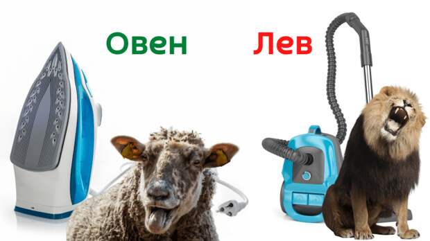 Утюг или пылесос: каким предметом вы бы стали по знаку Зодиака