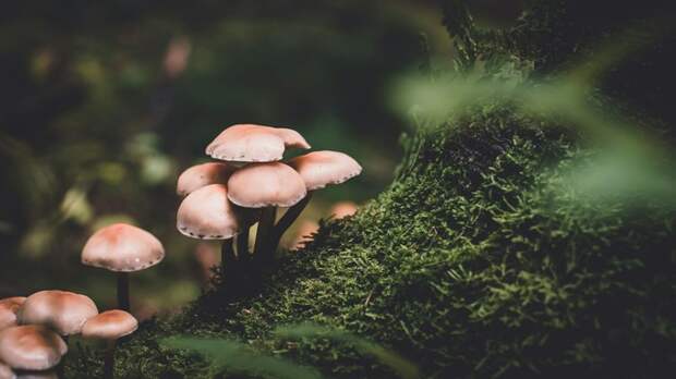 Фото: Presetbase Lightroom Presets / unsplash.com