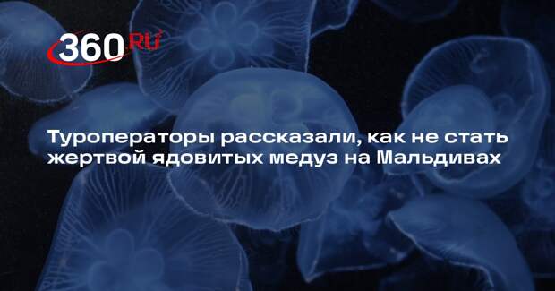 РСТ: большие скопления медуз на Мальдивах встречаются крайне редко
