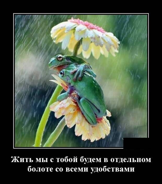 Демотиваторы (30 фото)