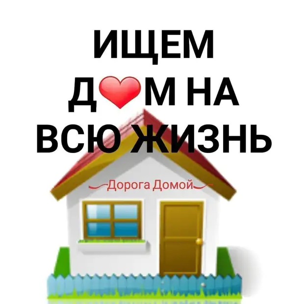 Подарите малышке счастье и дом!