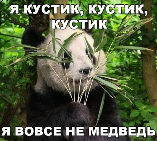 Анекдоты онлайн (16 шт)
