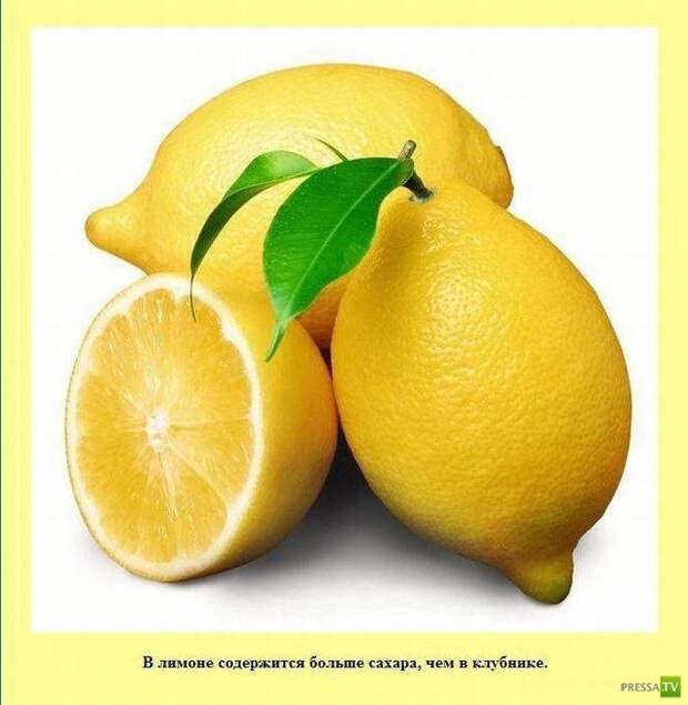 Прикольные факты о которых вы не знали