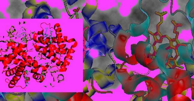 Редактор оснований помог пятерым пациентам с бета‑талассемией отказаться от переливаний