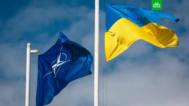 В Госдепе заявили о повышении потенциальной совместимости сил Украины и НАТО