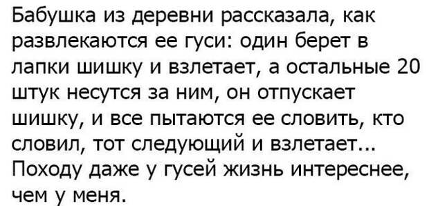Веселые картинки с надписями для позитивных эмоций (11 фото) Веселые картинки с надписями для позитивных эмоций (11 фото)