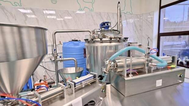 Уральская компания разработала средство для роста шерсти у собак с облысением