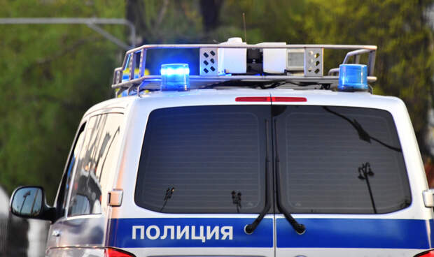 Установлены личности затолкавших девушку в машину в Москве