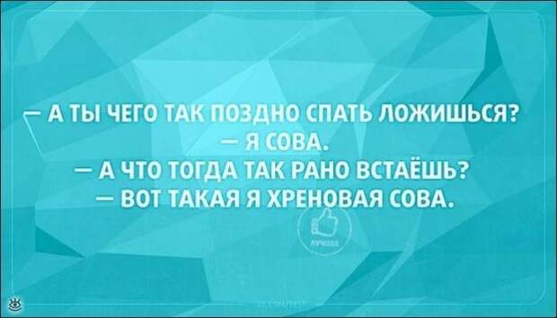 Разноцветные забавные открытки 20