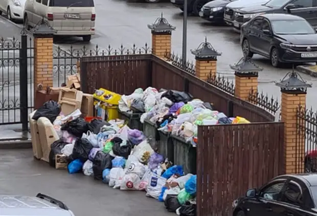 Мусорный коллапс в Новосибирске взяли на контроль народные избранники