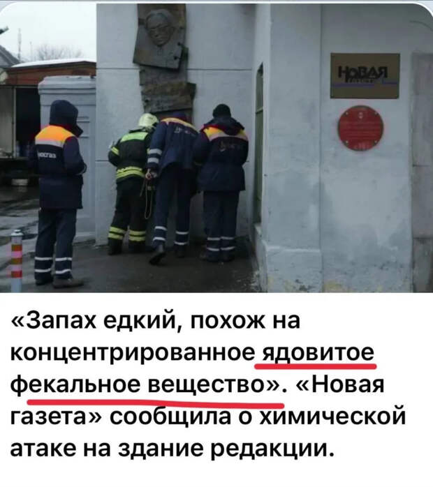 Никакой из Гордона пророк