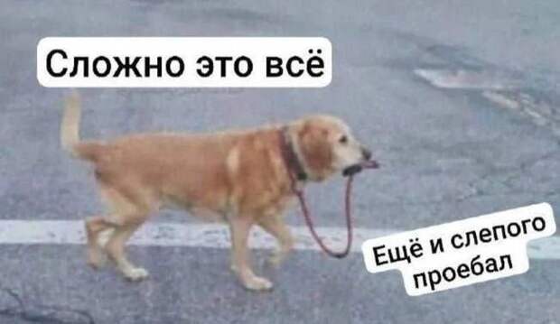 @psychology_funny  #юмор #смешное #приколы