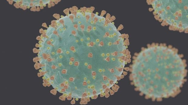 Covid-19 coronavirus particles proteins