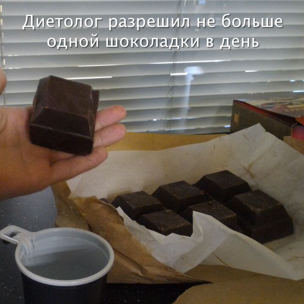 Они попыталась сесть на диету, но диета погнулась Они попыталась сесть на диету, но диета погнулась диета, как похудеть, прикол, юмор