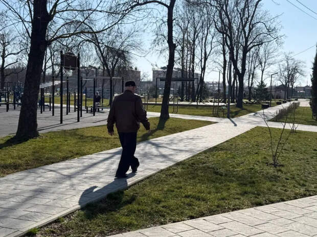 Тихая потеря денег: из-за какой ошибки пенсионеры лишаются льгот и как этого избежать