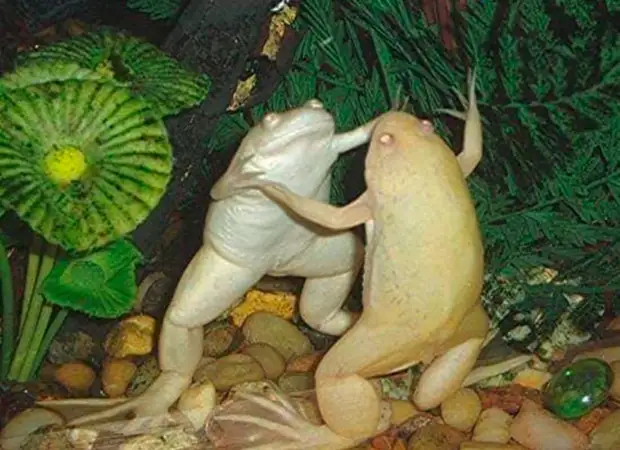 � �������� �� ����� ���