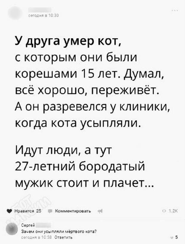 Прикольные картинки 24.08.17