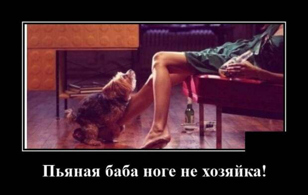Демотиватор про пьяных женщин