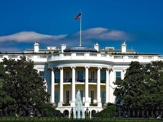 Трамп объявит о приостановке выдачи грин-карт из-за пандемии Трамп объявит о приостановке выдачи грин-карт из-за пандемии